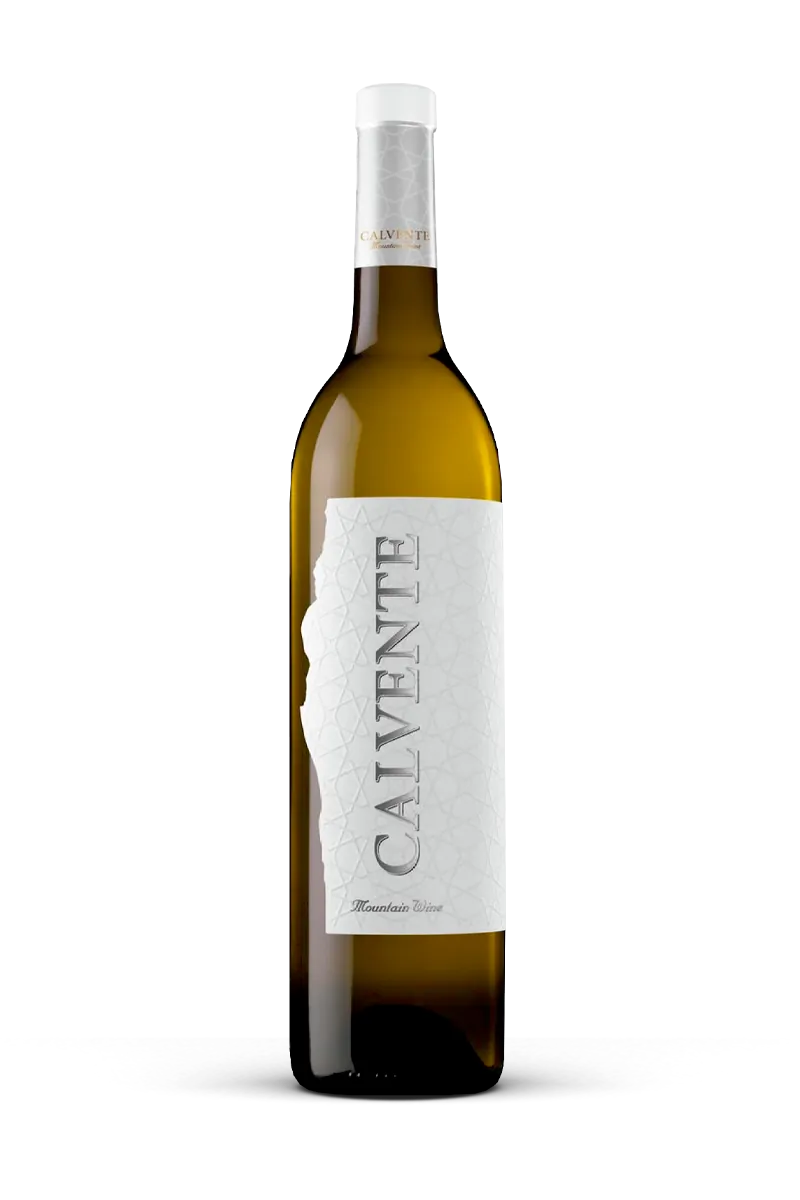 Vino Calvente